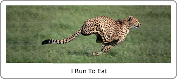 I Run To Eat